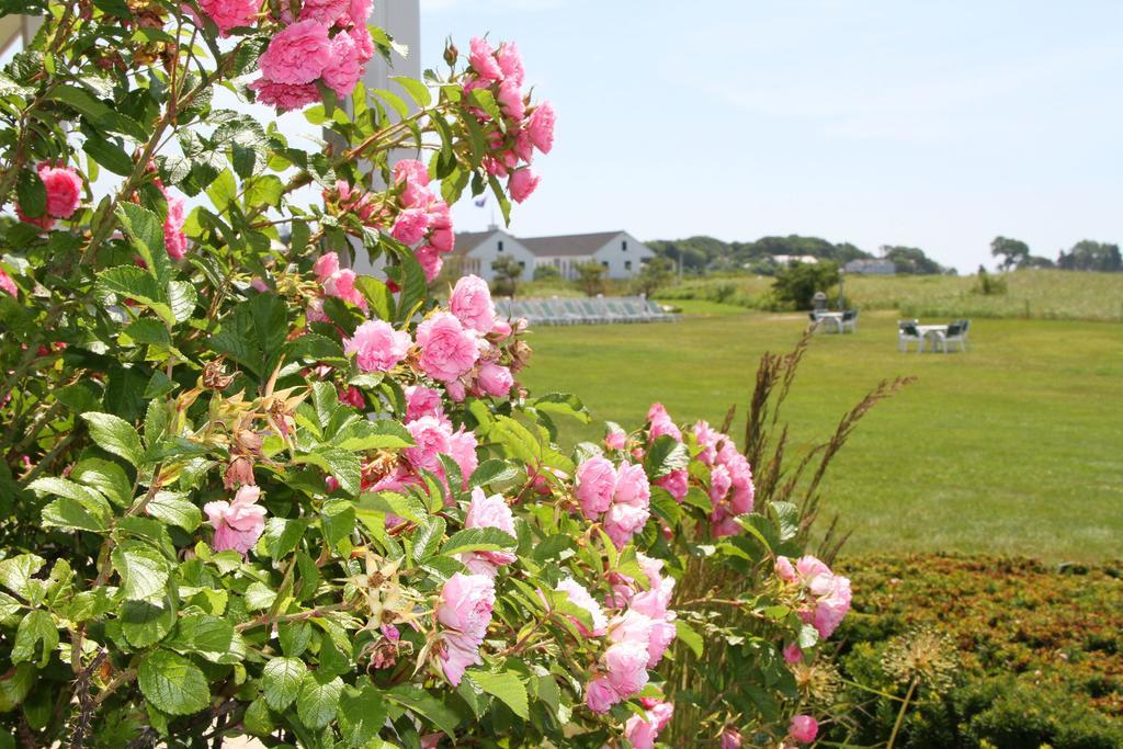 The Seaside Inn Kennebunk Εξωτερικό φωτογραφία
